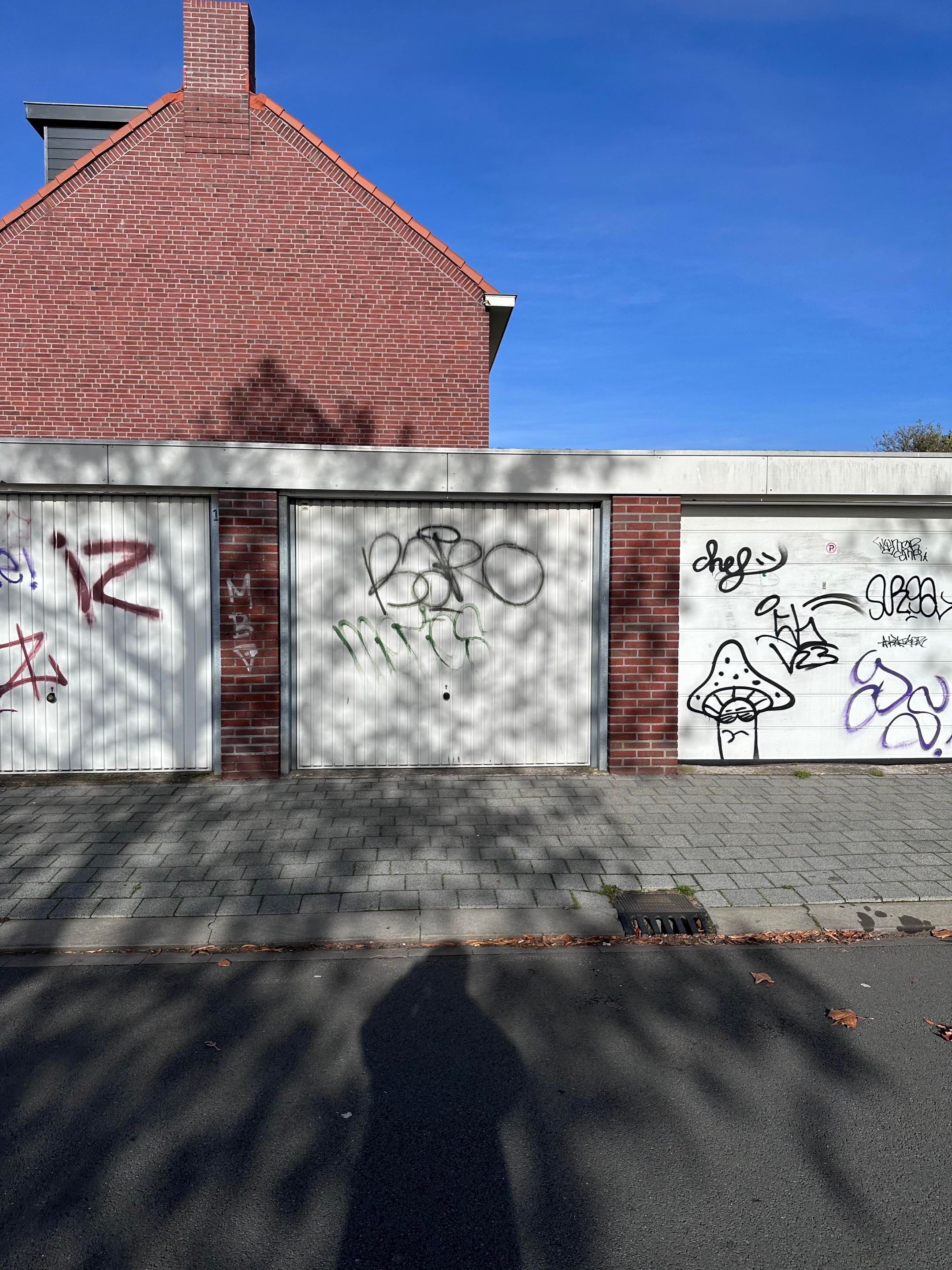 Foto 3 van Koele Mei