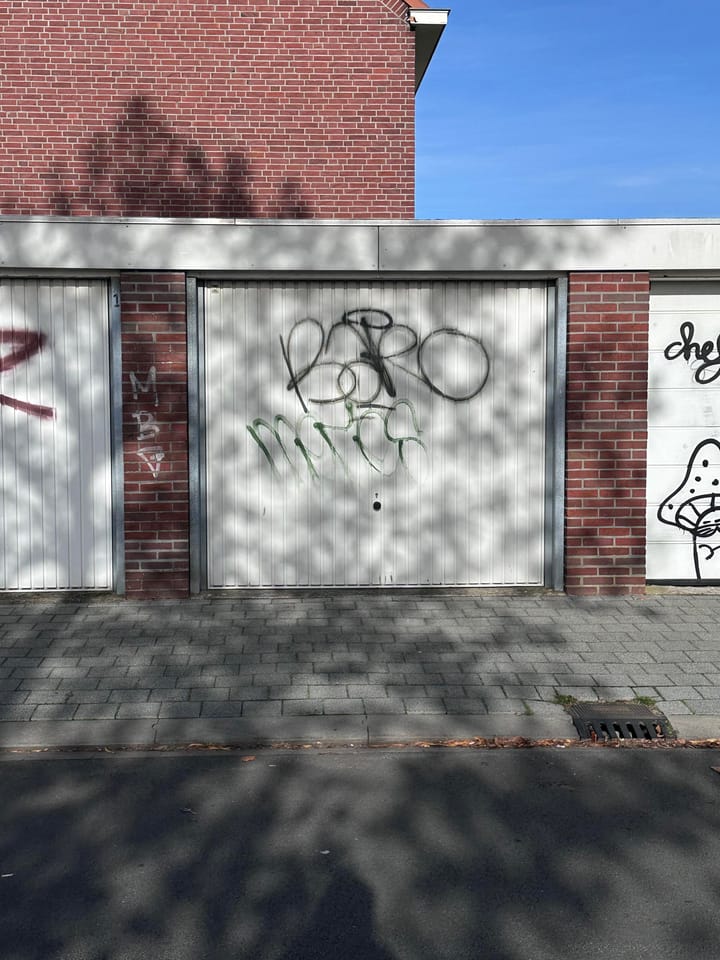 Foto 2 van Koele Mei