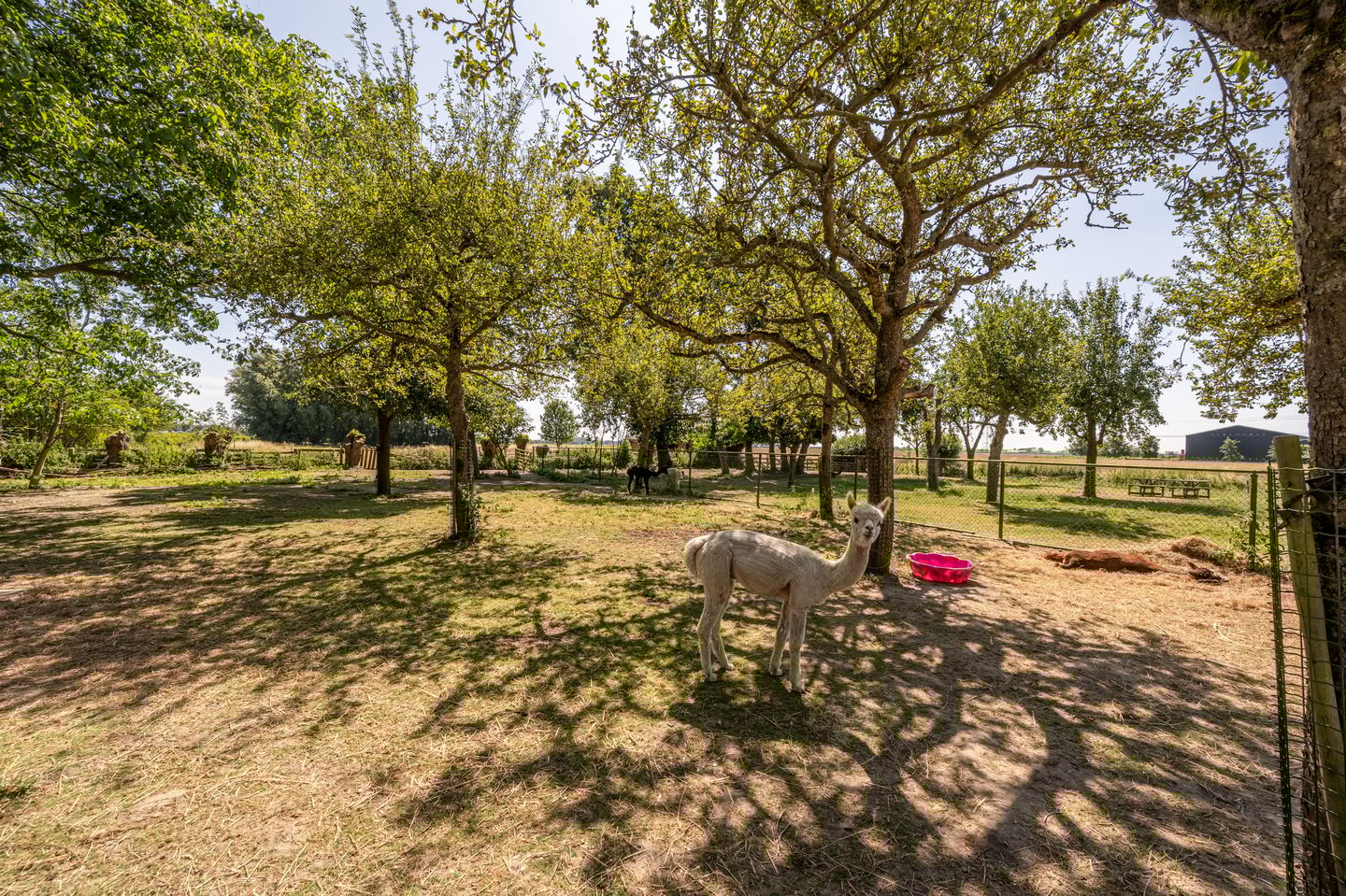 Photo 65 of Brabersweg 25