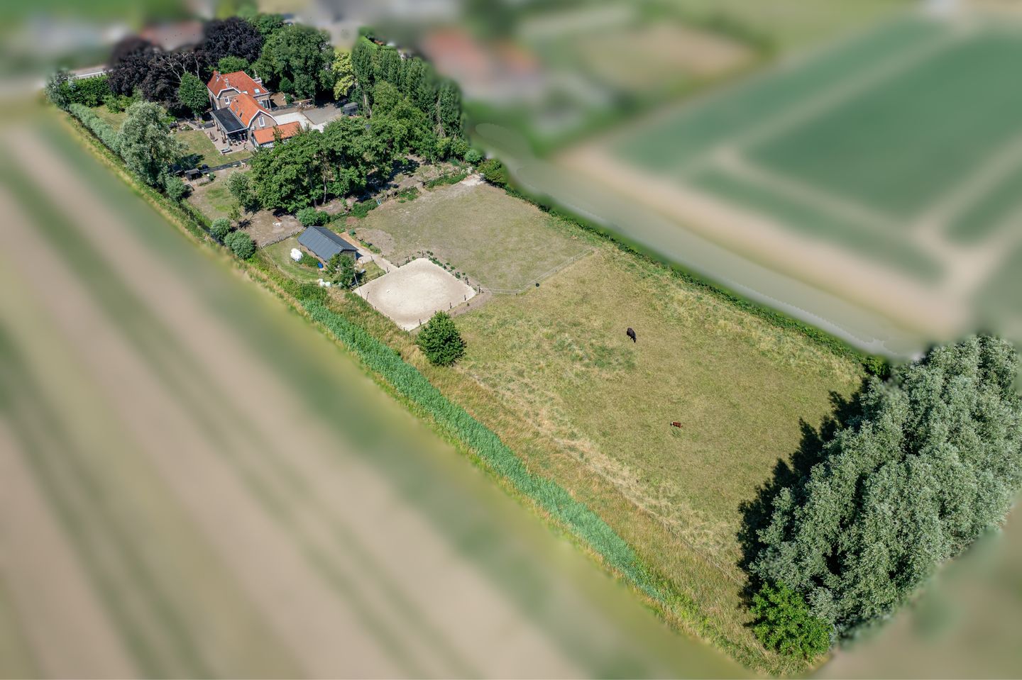 Photo 74 of Brabersweg 25