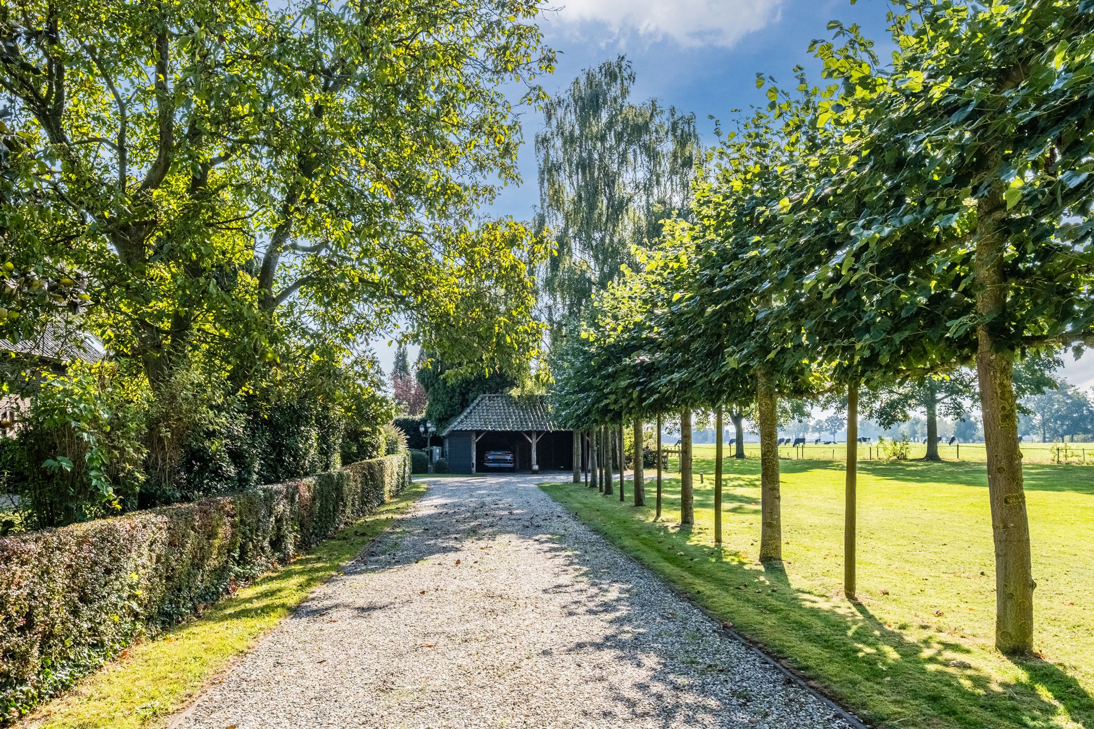 Foto 6 van Groothees 18