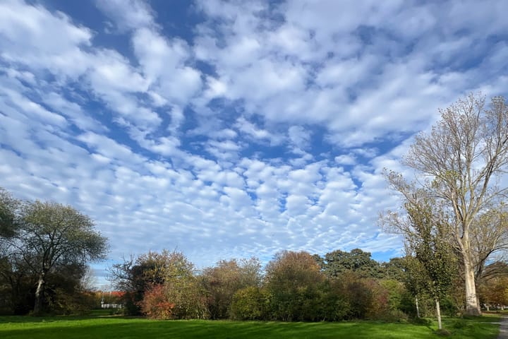 Foto 36 van Schotlandstraat 278