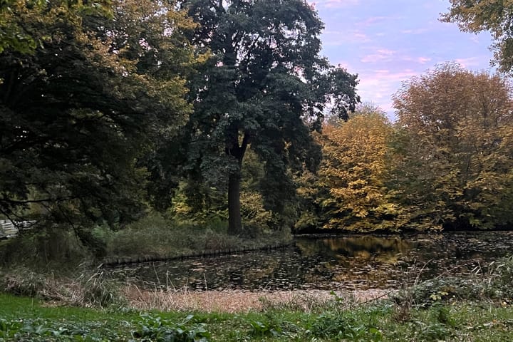 Foto 37 van Schotlandstraat 278