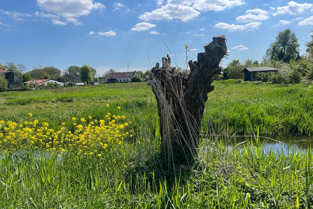 Photo 38 of Schotlandstraat 278