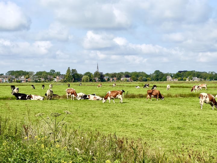 Foto 11 van Havenrak 21-A