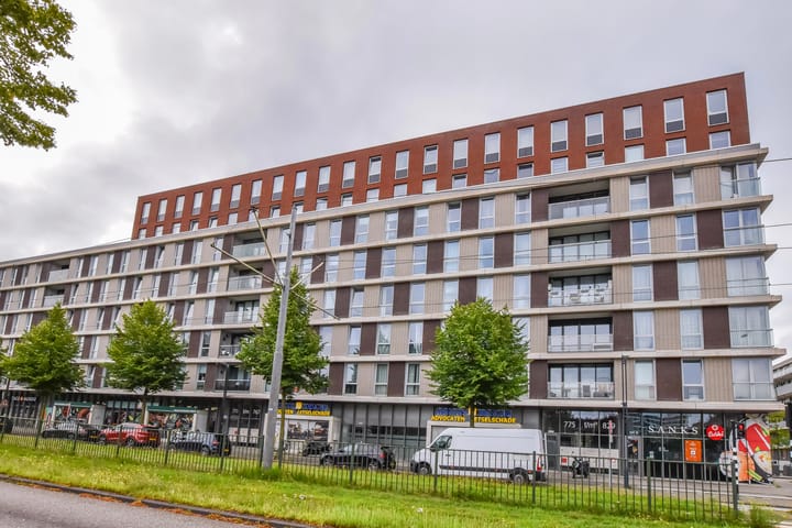 Photo 23 of Pieter Calandlaan 795