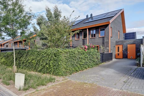 undefined main image