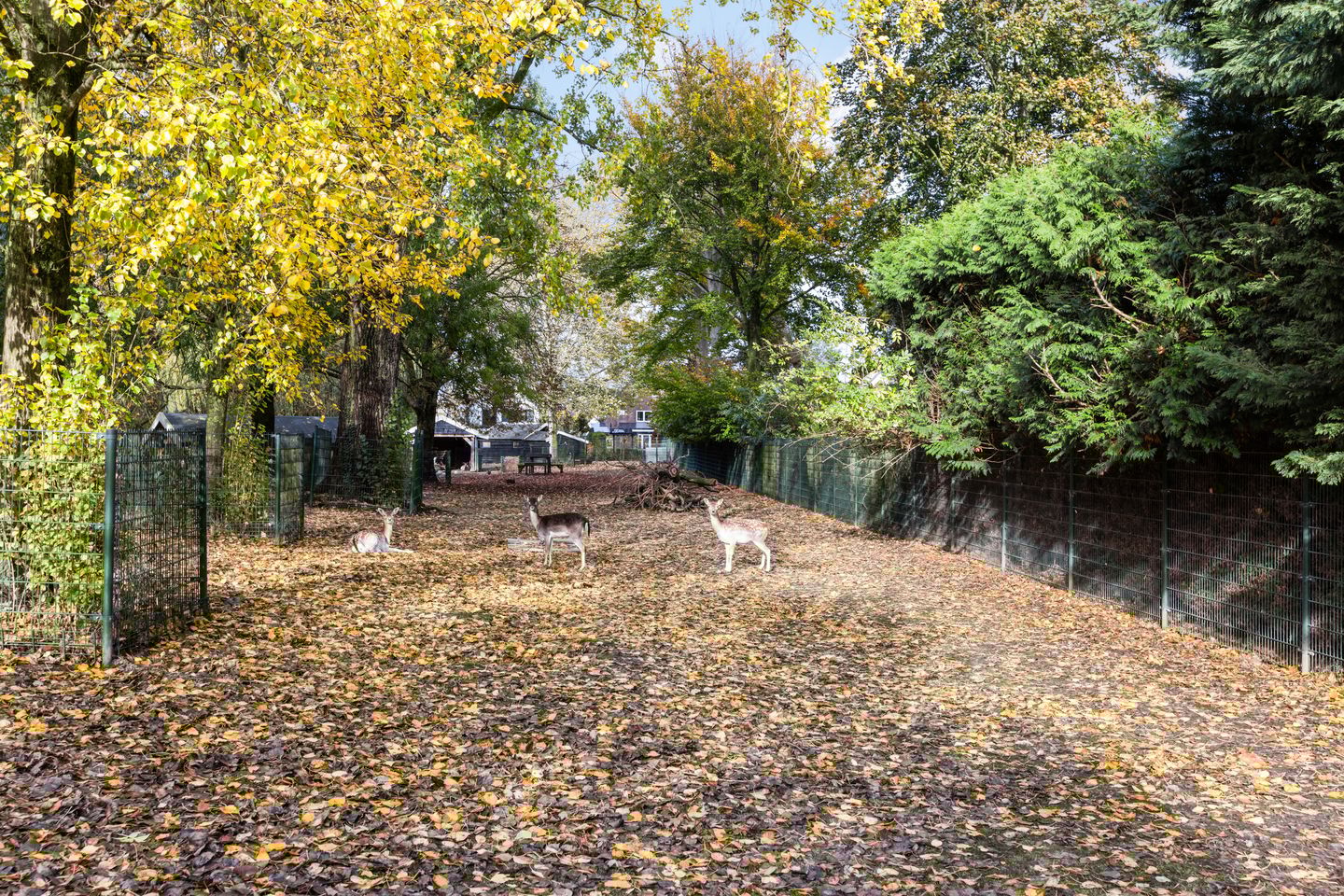 Foto 59 van Marelaan 20