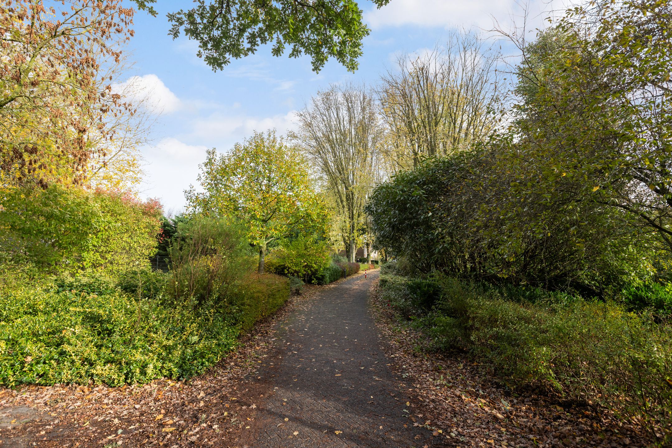 Foto 60 van Marelaan 20