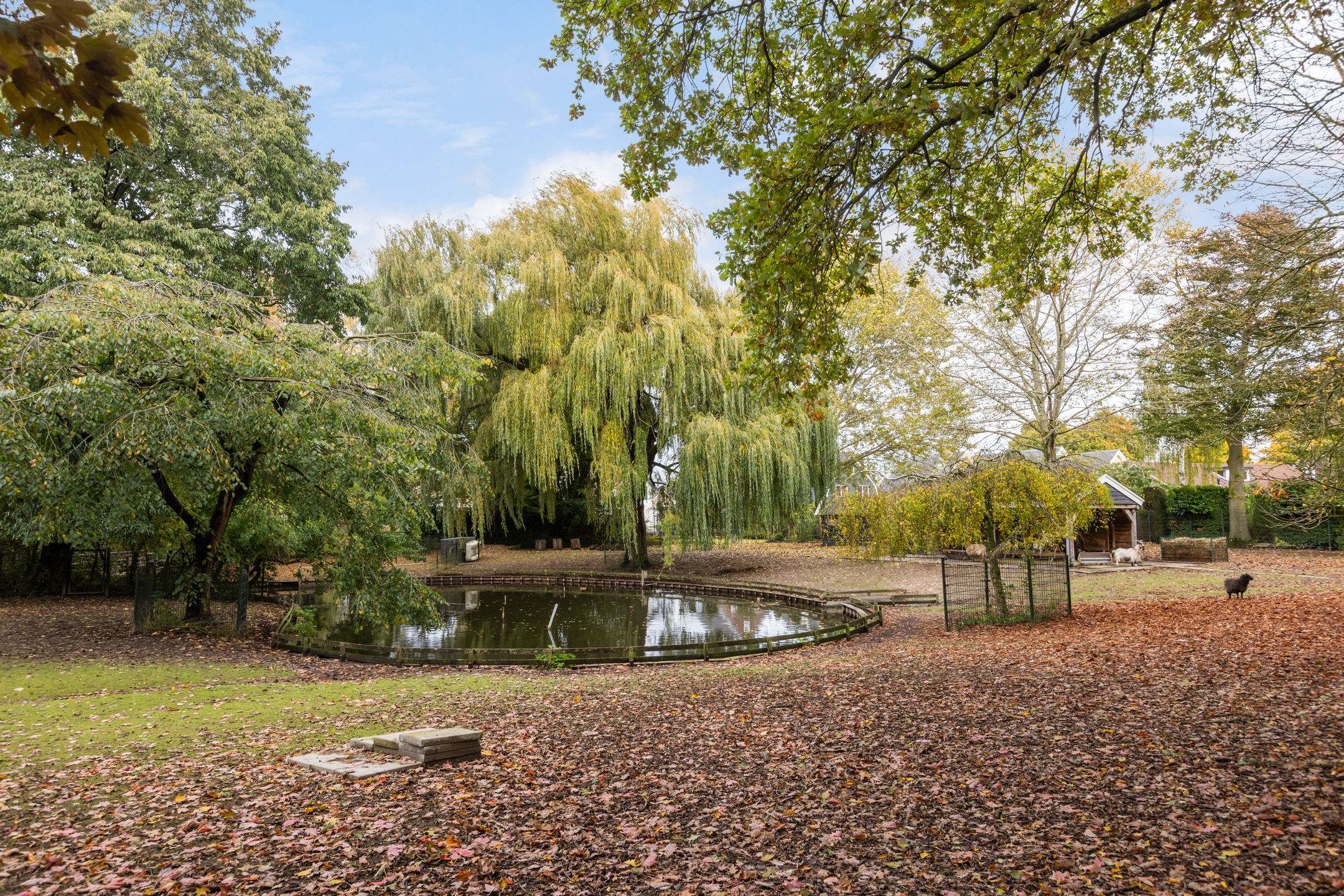 Foto 66 van Marelaan 20