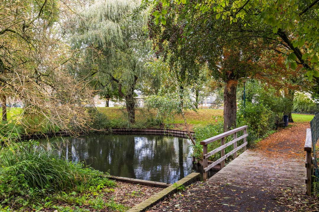 Foto 67 van Marelaan 20