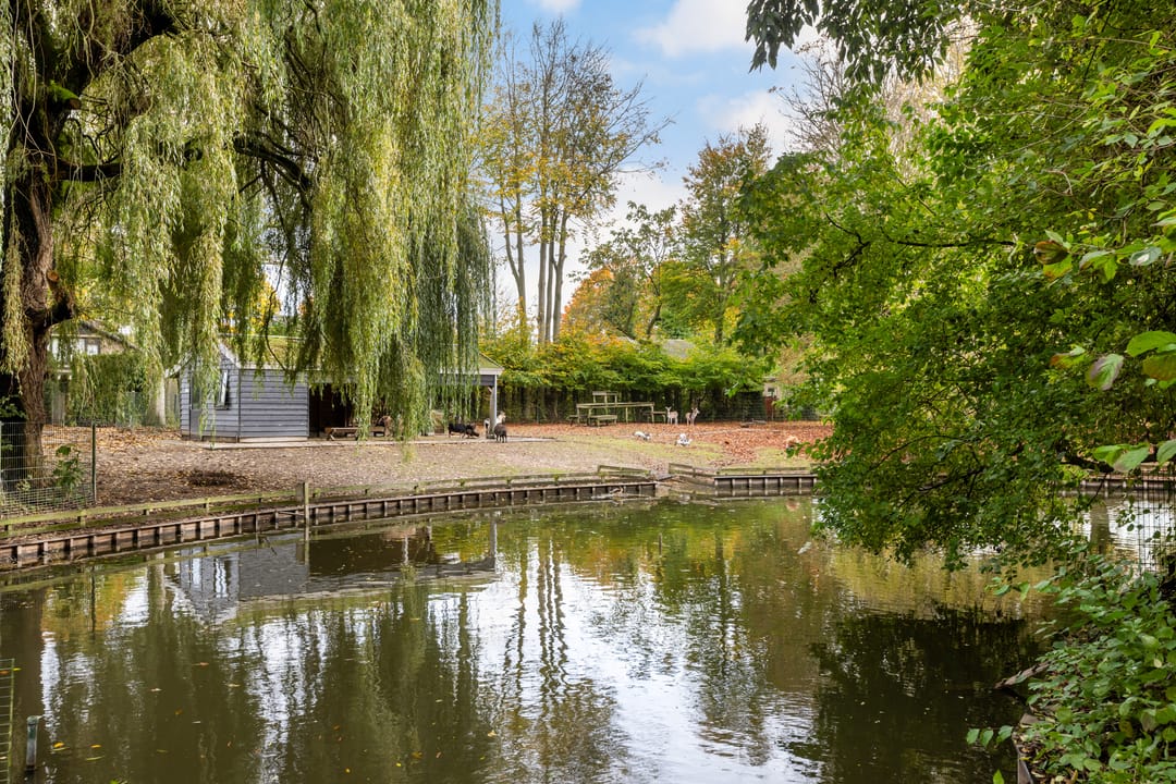 Foto 68 van Marelaan 20