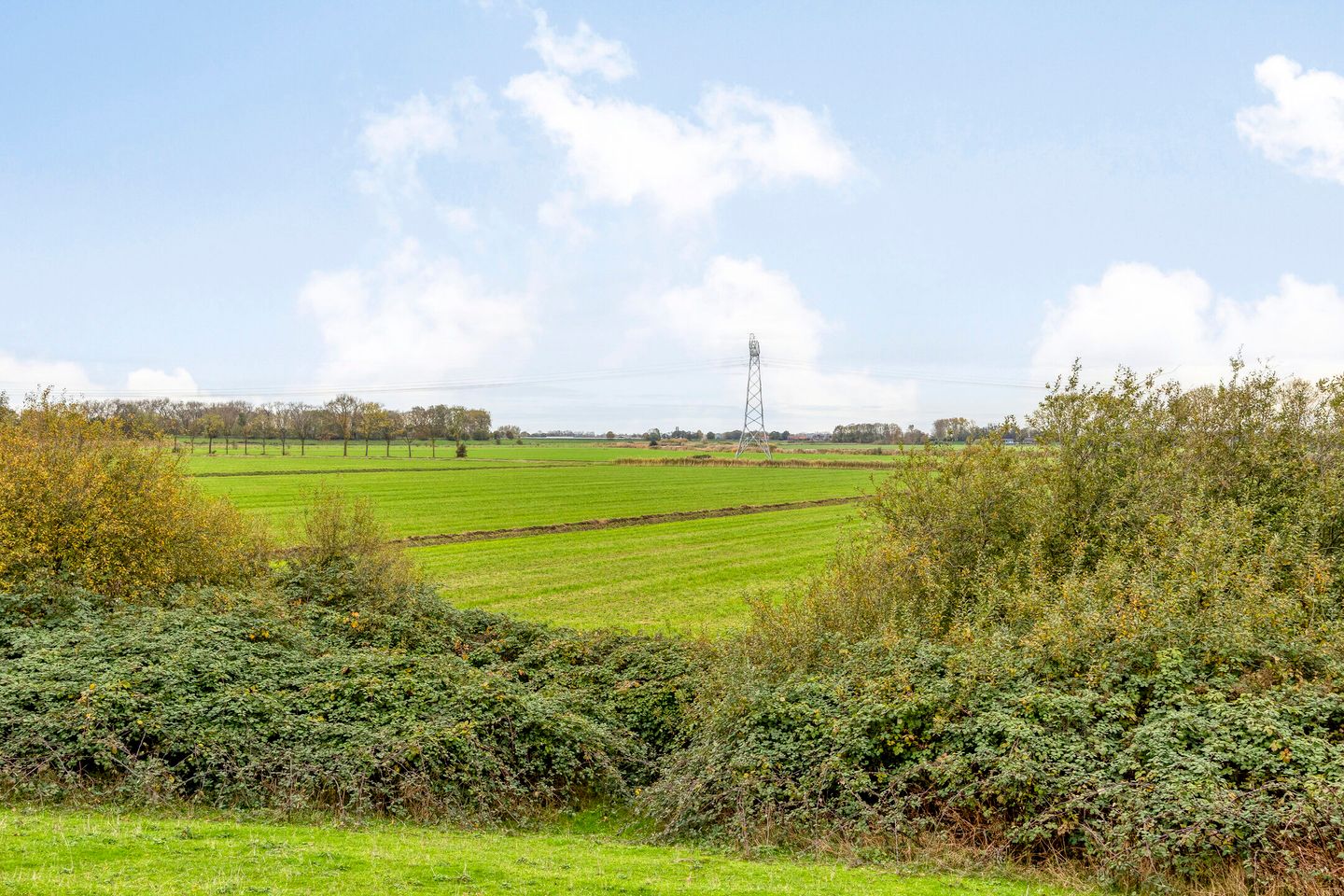 Foto 35 van Pater van den Elsenstraat 60