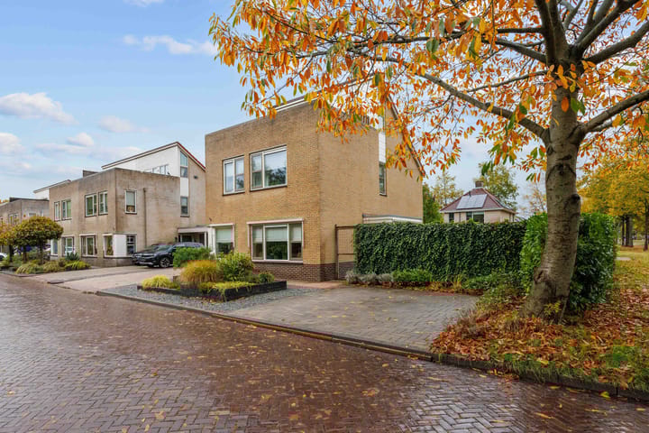 Foto 12 van Groene Zoom 26