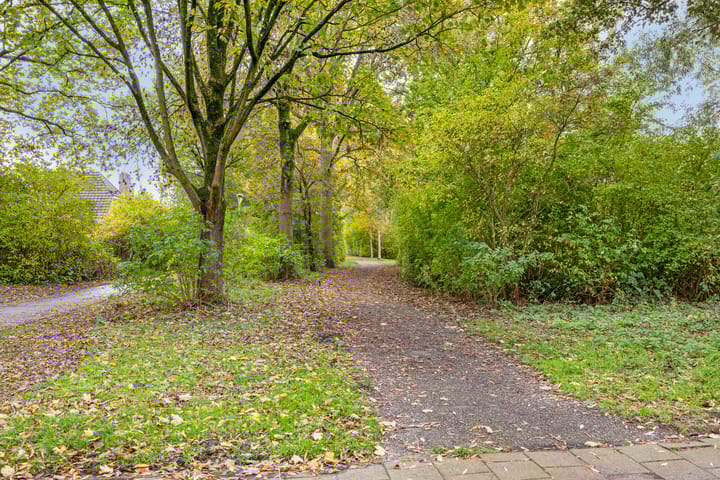 Foto 5 van Van den Berghlaan 485