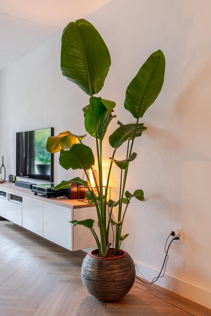 Photo 5 of Emmastraat 13