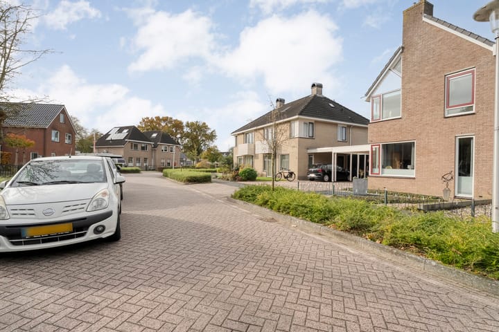 Photo 4 of Goudenregen 5