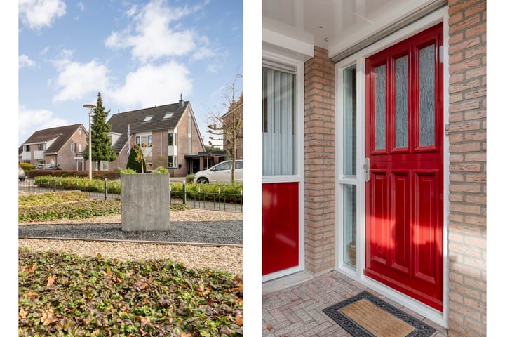 Photo 6 of Goudenregen 5