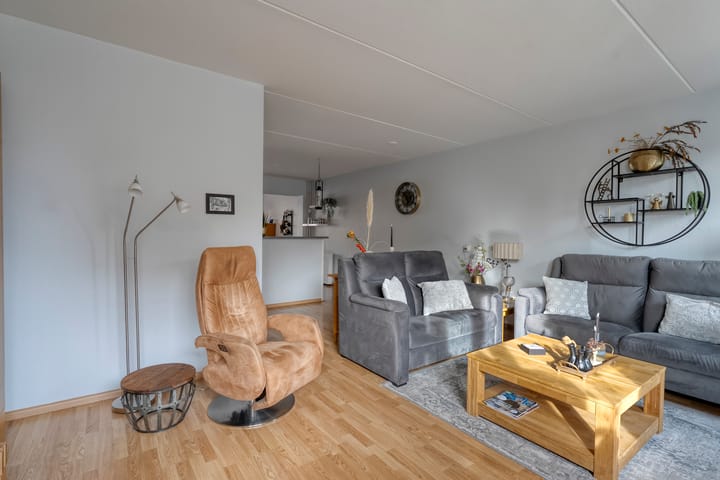 Photo 11 of Goudenregen 5