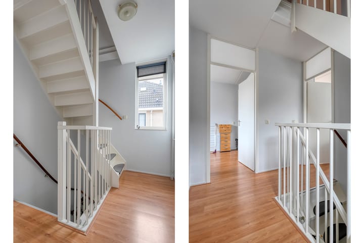 Photo 18 of Goudenregen 5