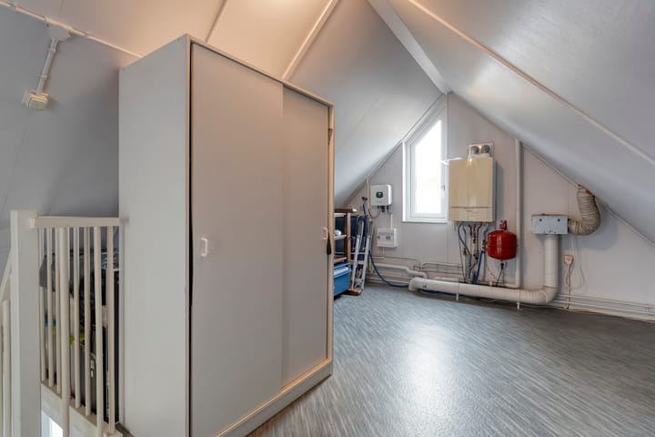 Photo 25 of Goudenregen 5