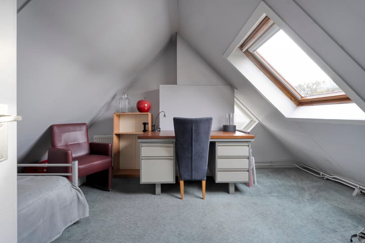 Photo 27 of Goudenregen 5