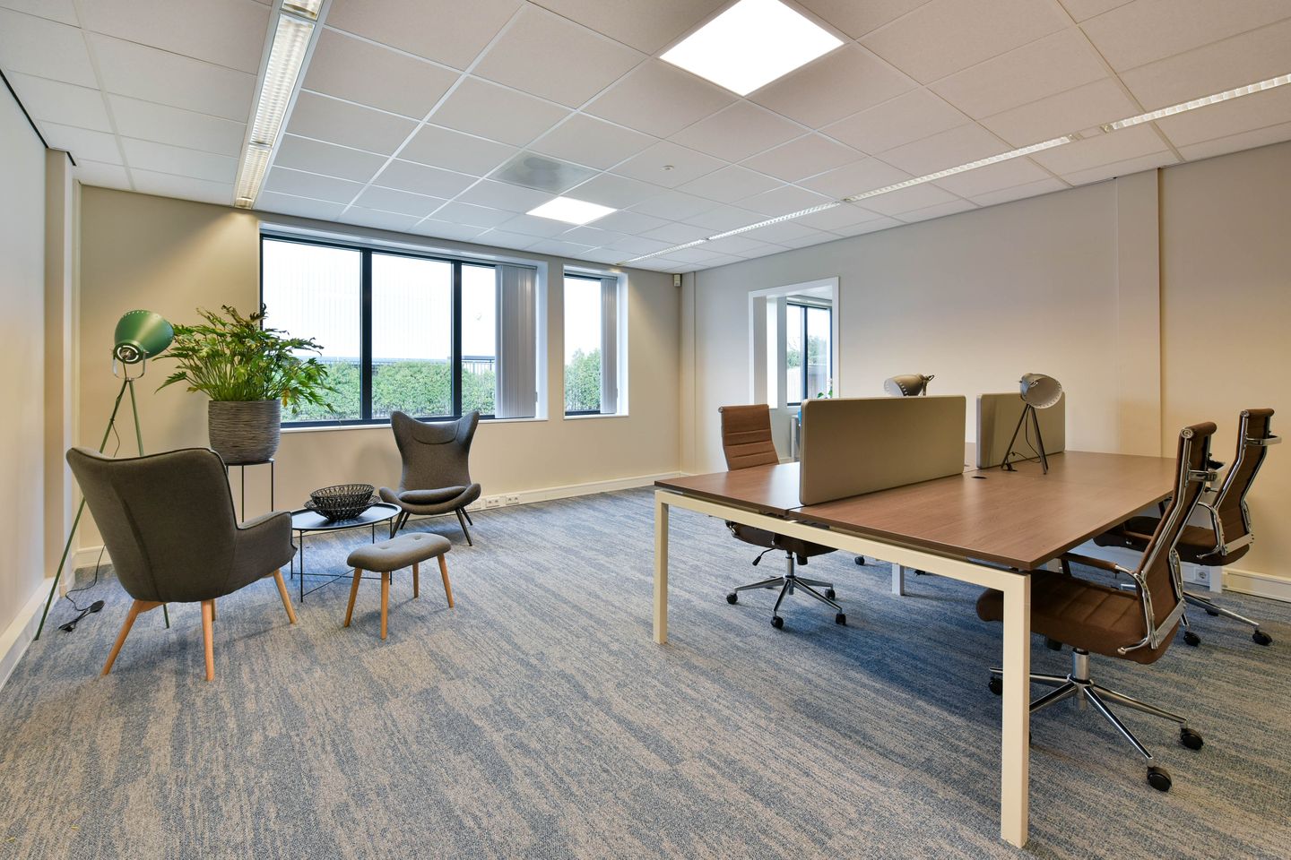 Bekijk foto 2 van 0.18 Paardekop