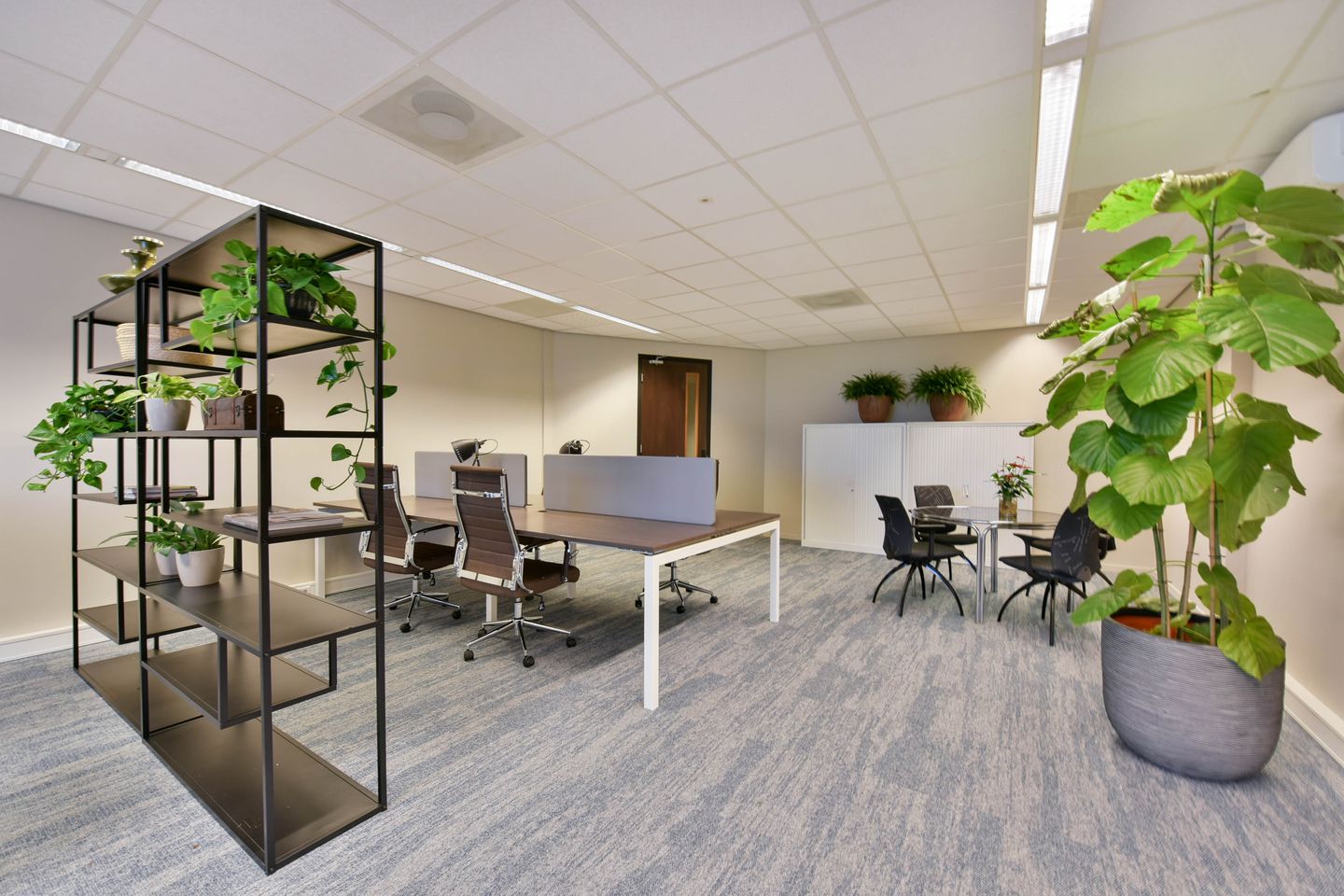 Bekijk foto 3 van 0.18 Paardekop