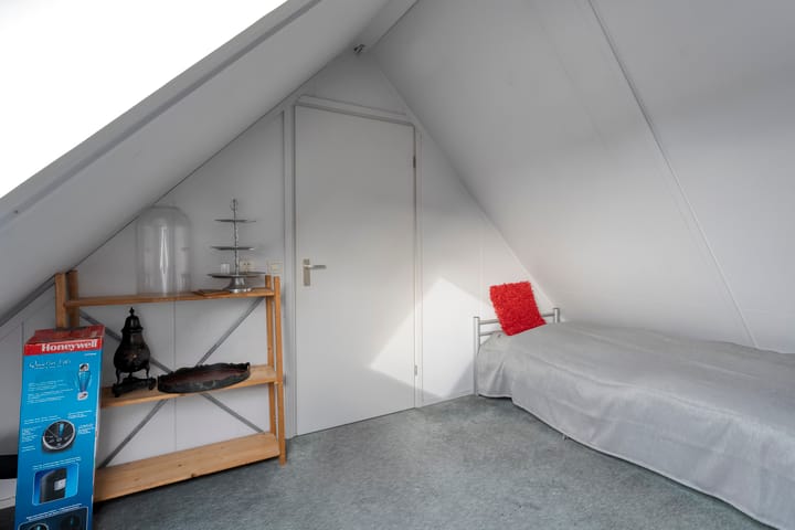 Photo 28 of Goudenregen 5