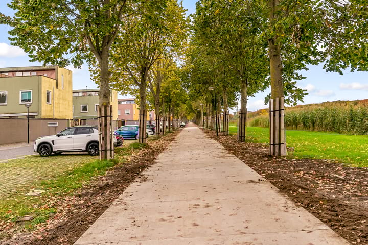 Photo 63 of Beigepad 4