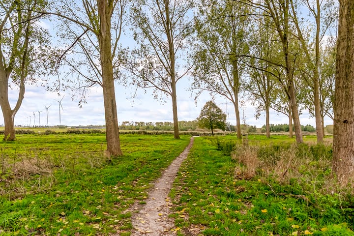 Photo 64 of Beigepad 4