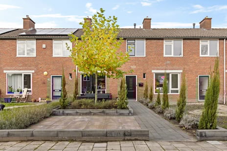 undefined main image