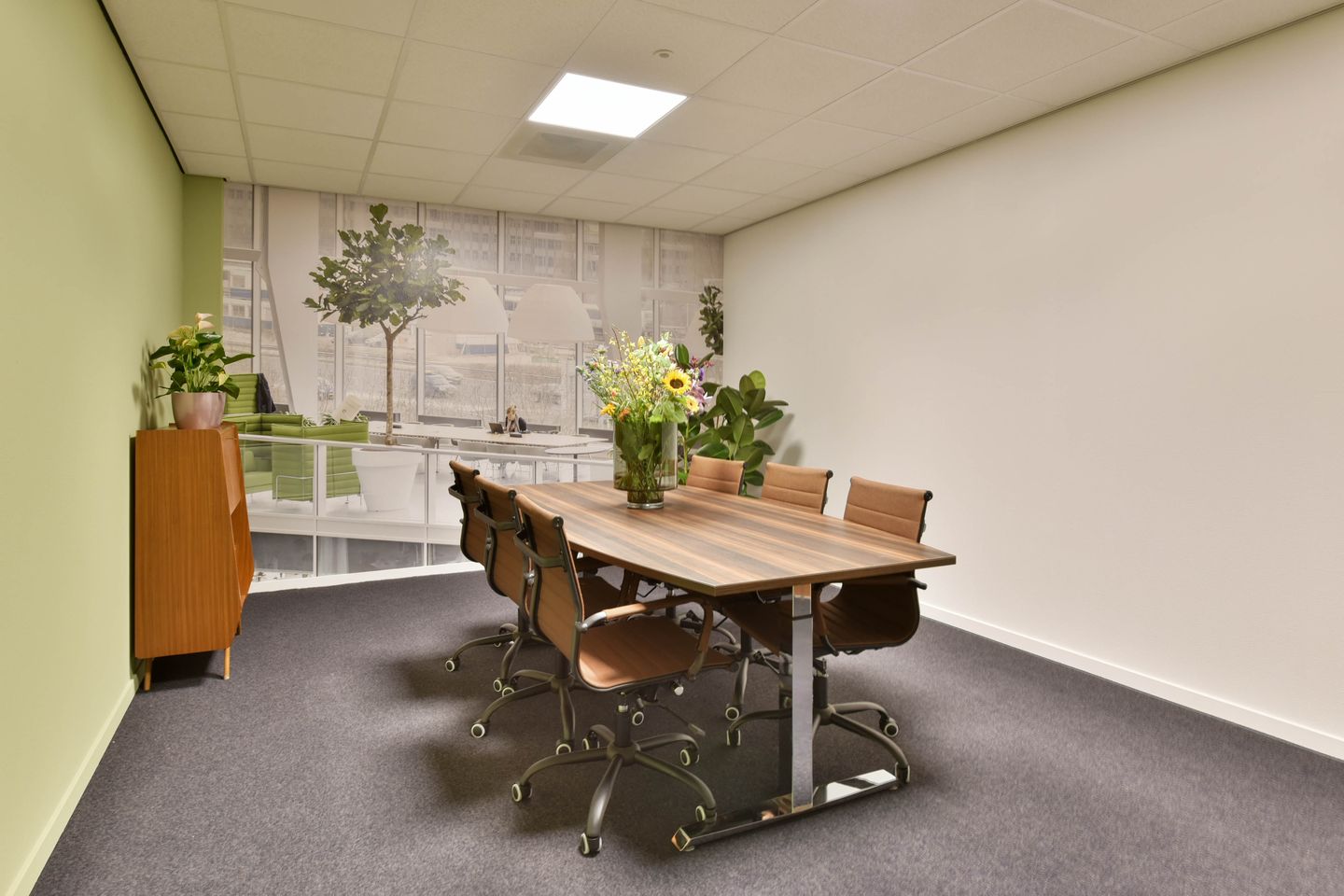 View photo 1 of 0.20 Heidebloem