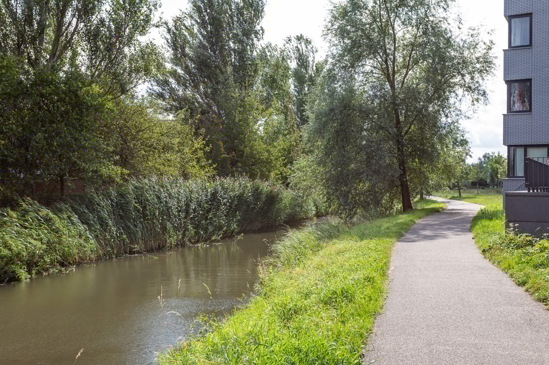 Foto 46 van Julius Caesarlaan 30