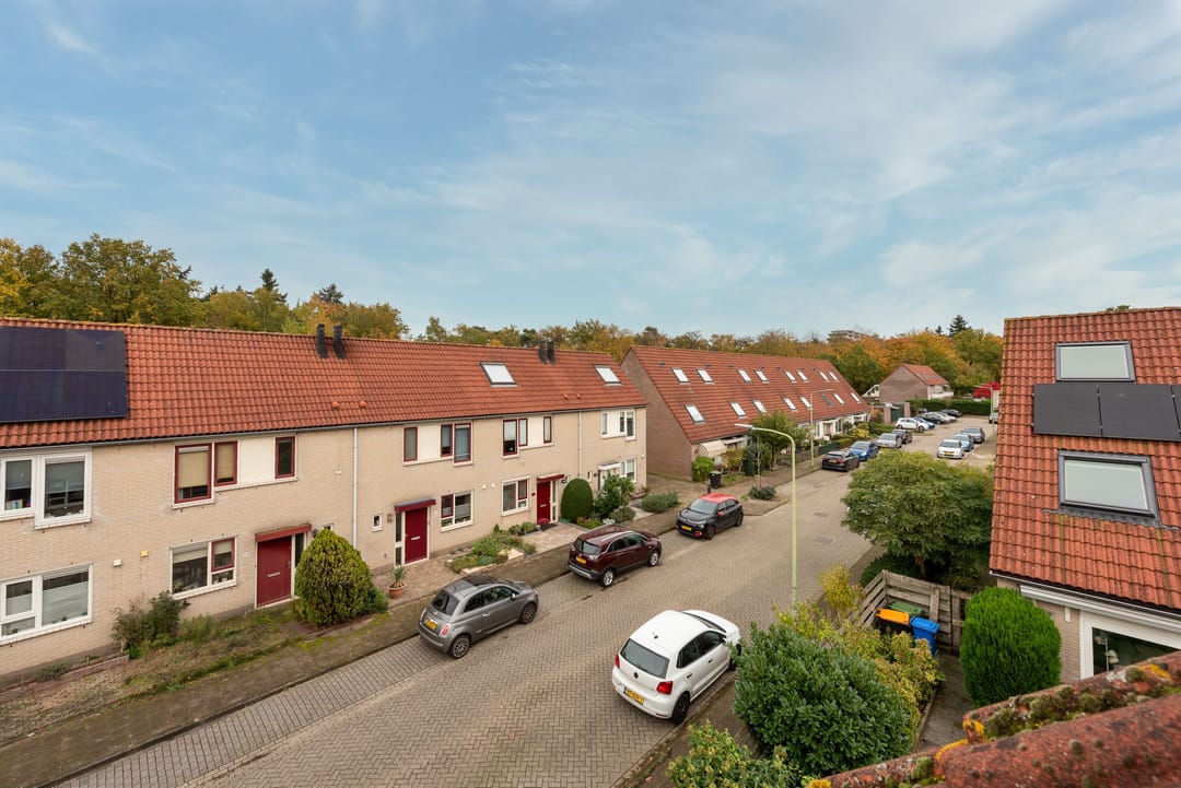 Foto 41 van Strausslaan 25