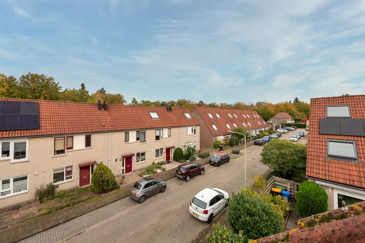 Foto 41 van Strausslaan 25