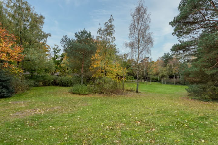 Foto 45 van Strausslaan 25