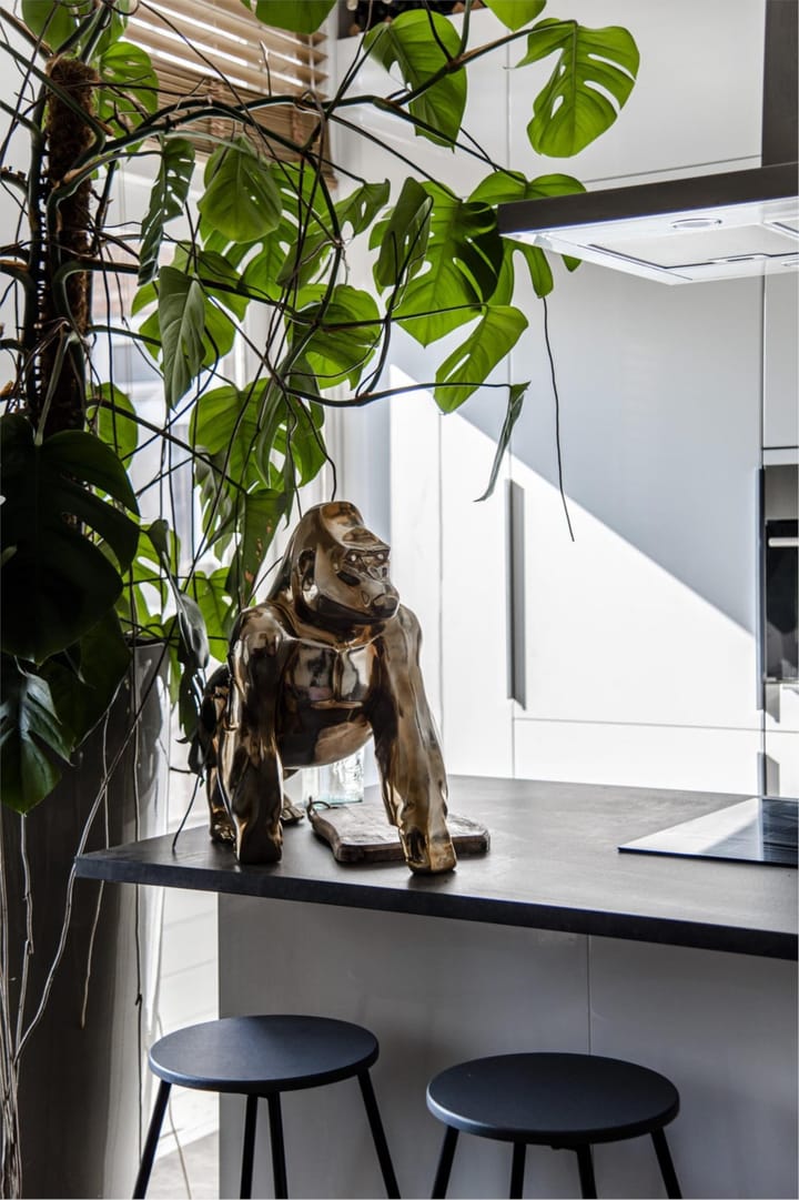 Foto 11 van Hertzogstraat 4-RD