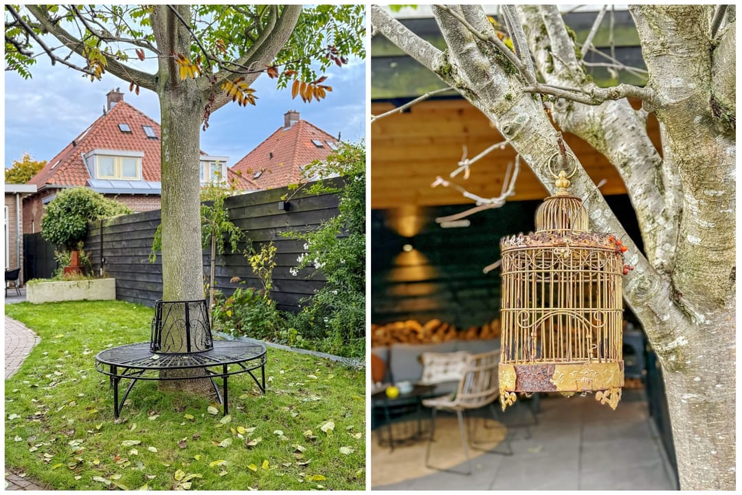 Foto 46 van Tollenslaan 25