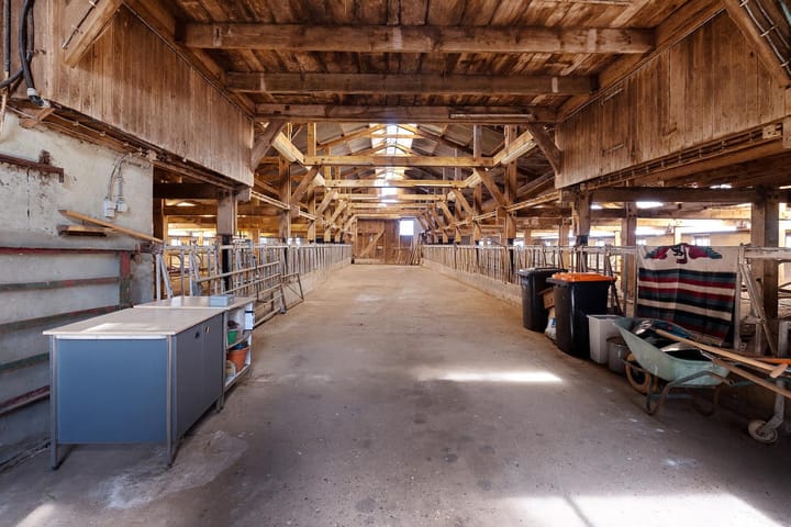 Photo 43 of Dierenseweg 4