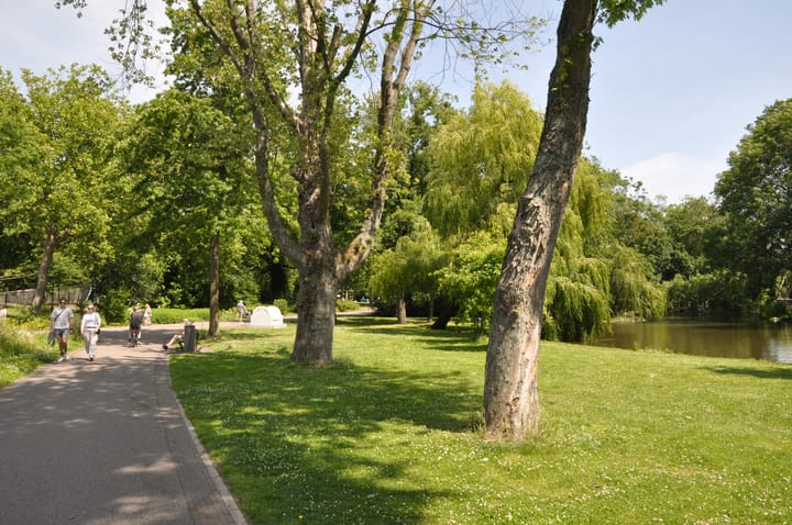 Photo 37 of Deymanstraat 14-1