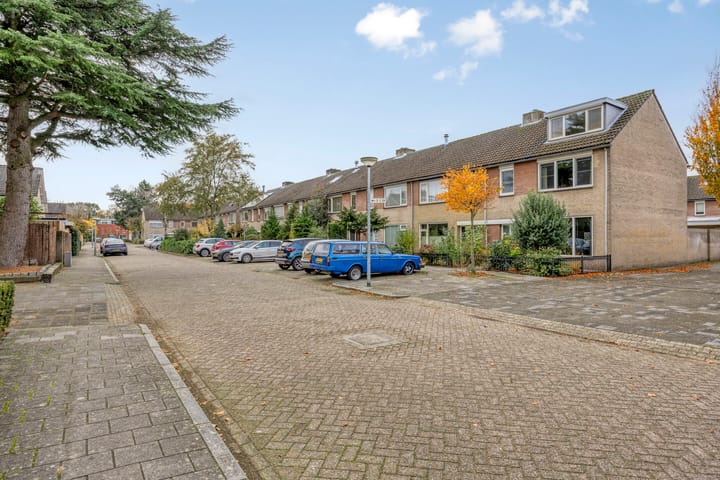 Foto 39 van Anna Blamanstraat 3