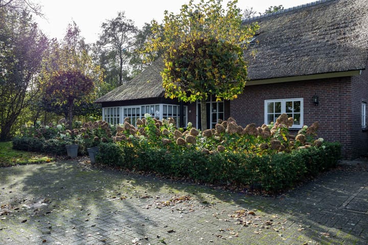 Foto 20 van Houtwal 34