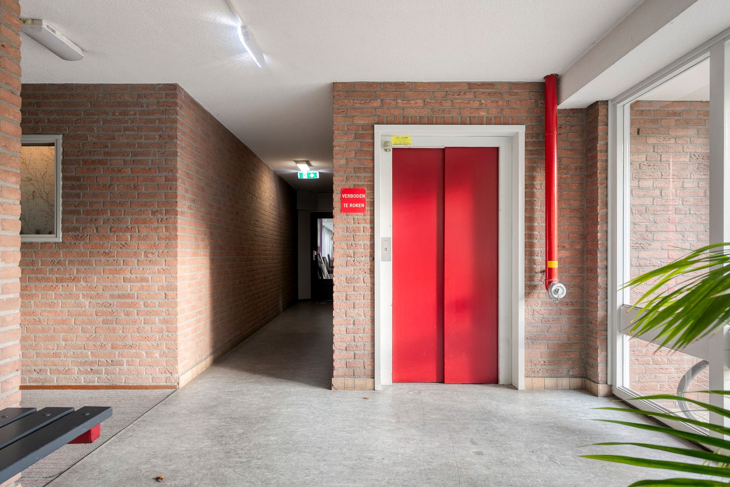 Photo 19 of Zaaier 128