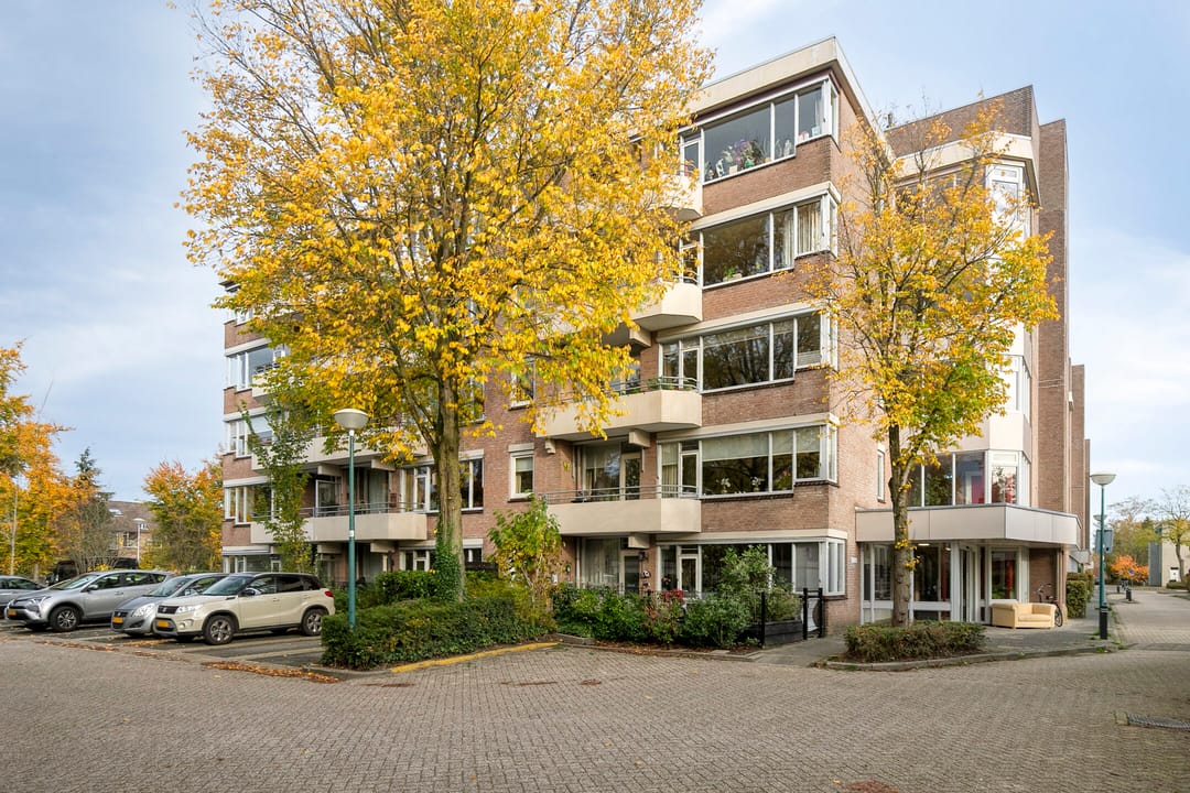 Photo 23 of Zaaier 128