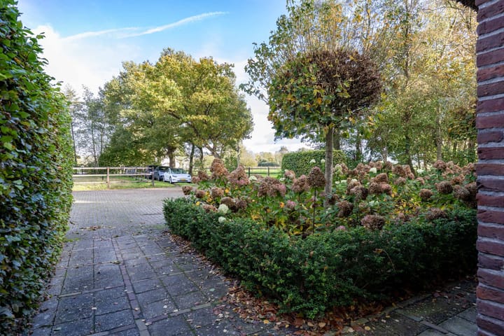 Foto 69 van Houtwal 34