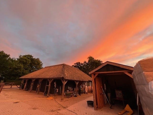 Foto 79 van Houtwal 34