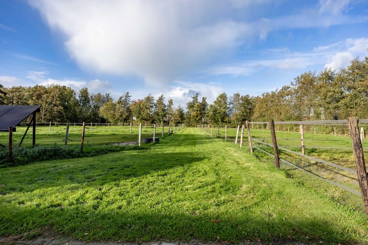 Foto 81 van Houtwal 34