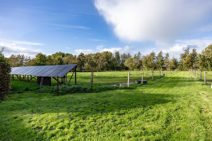 Foto 82 van Houtwal 34