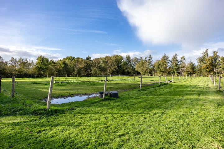 Foto 83 van Houtwal 34